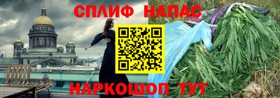 spice Кингисепп