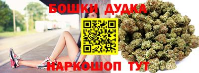 spice Кингисепп