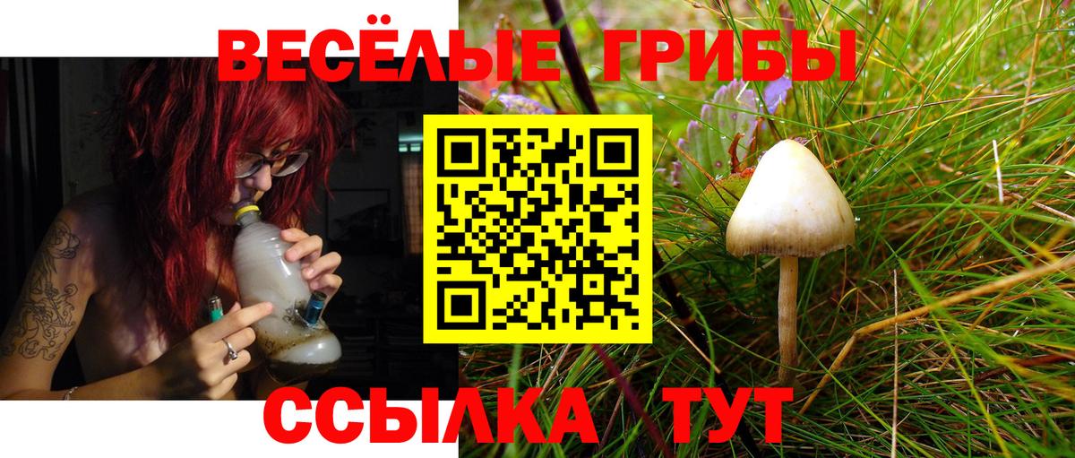 Галлюциногенные грибы MAGIC MUSHROOMS Йошкар-Ола